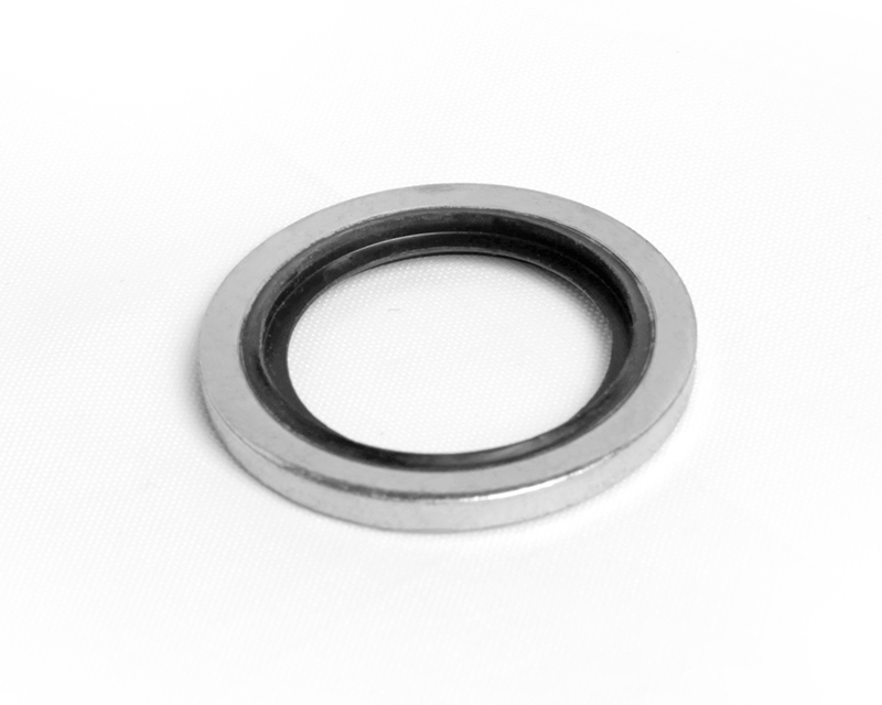 Stainless Steel Outer Ring, Fluorocarbon FKM Inner Ring, Gasket for 1/4&quot; ISO Parallel Thread(RS)