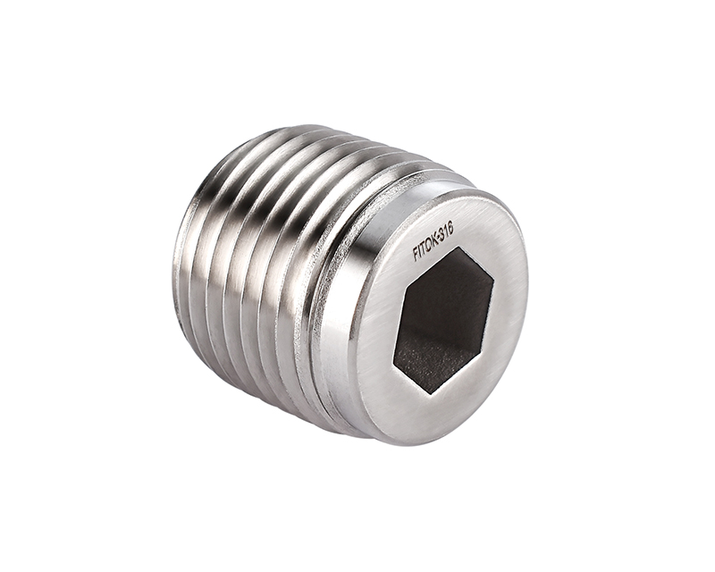 316 SS, Pipe Fitting, Hollow Hex Plug, 1/4&quot; Male ISO Tapered Pipe Thread