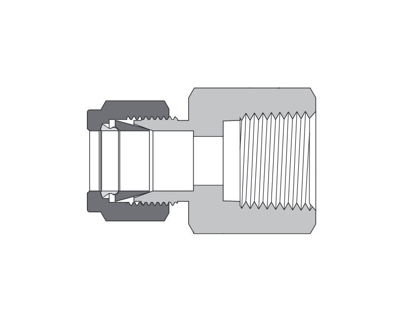 Female Connector, Brass, 1/2in. Tube OD, 2-Ferrule x 1/2in. (F)NPT